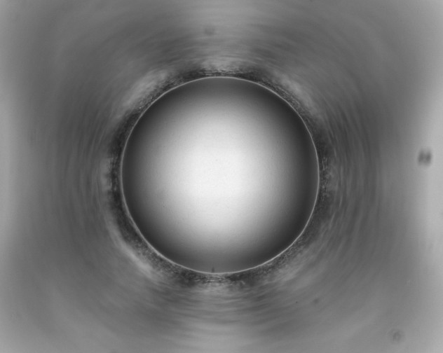 X0000091920738200709121538