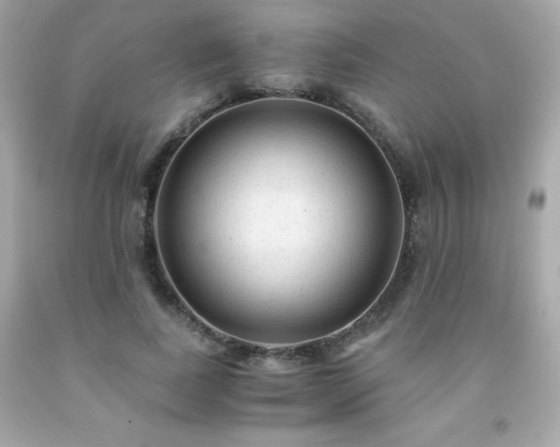 X0000091920739200709121538