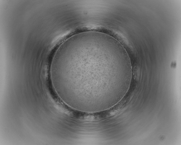 X0000091920740200709121538