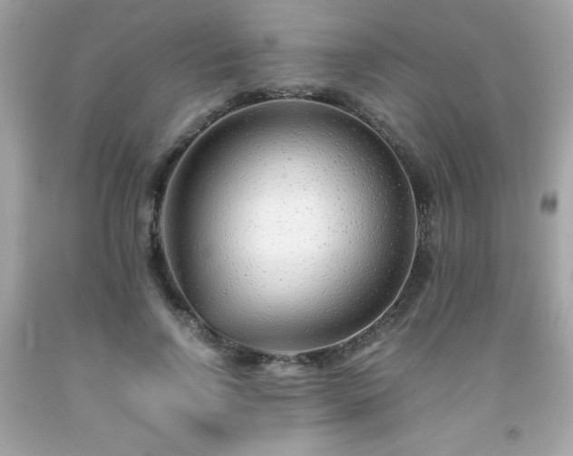 X0000091920742200709121538