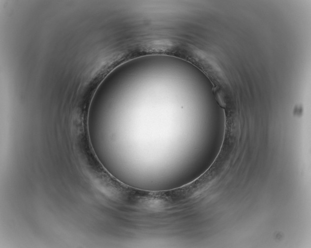 X0000091920743200709121538