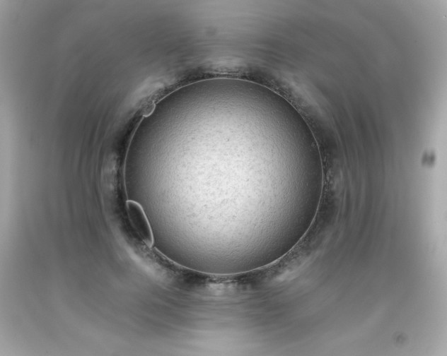 X0000091920744200709121538