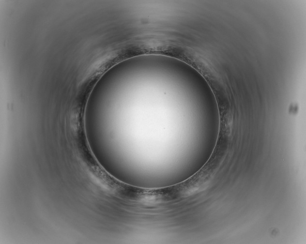 X0000091920746200709121538