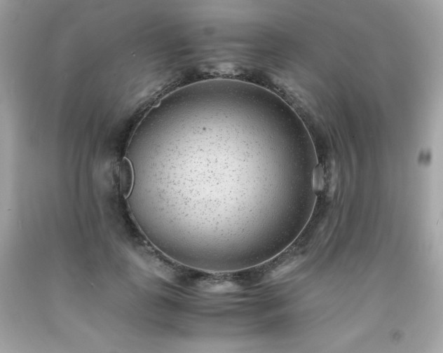 X0000091920747200709121538