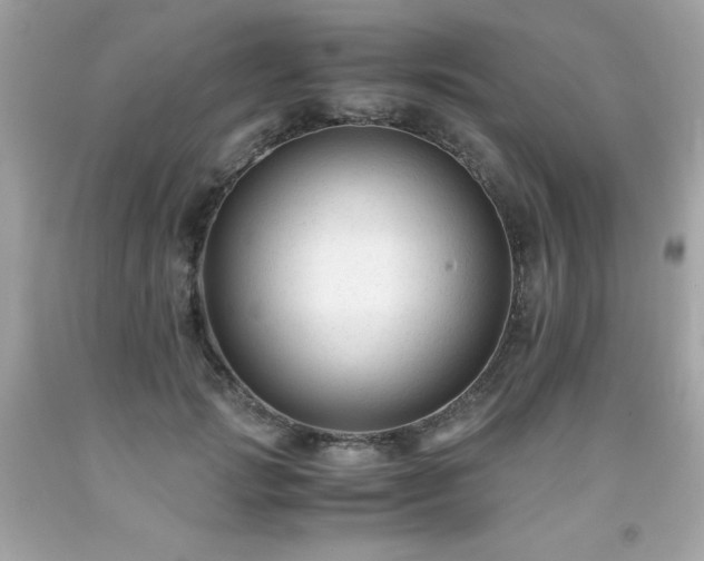 X0000091920749200709121538