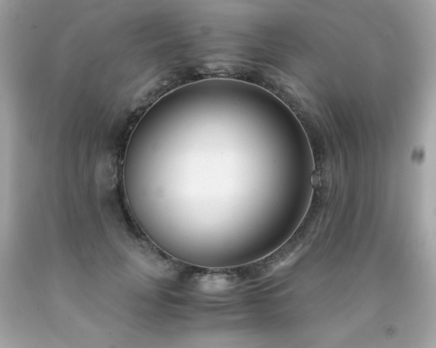 X0000091920751200709121538