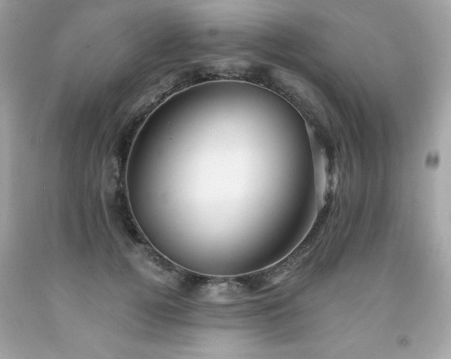 X0000091920752200709121538