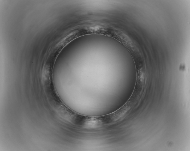 X0000091920754200709121538