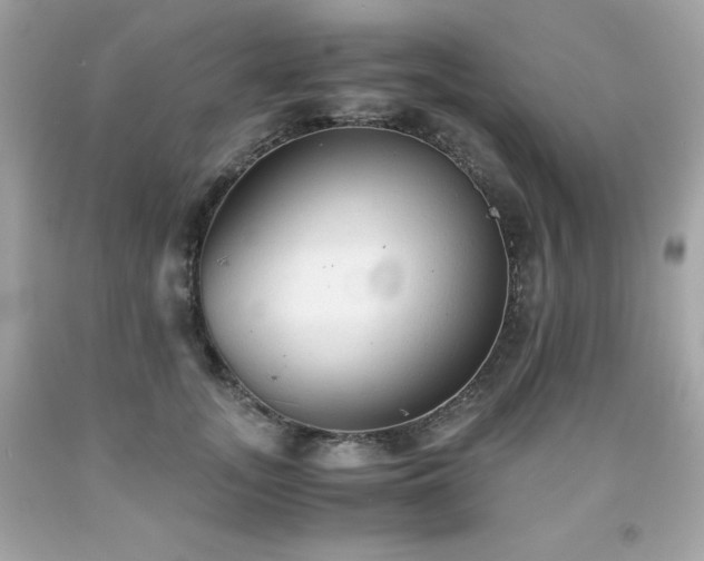 X0000091920755200709121538