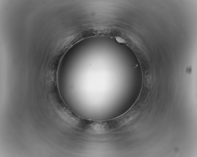 X0000091920756200709121538