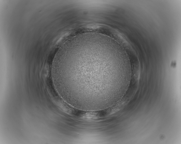 X0000091920758200709121538