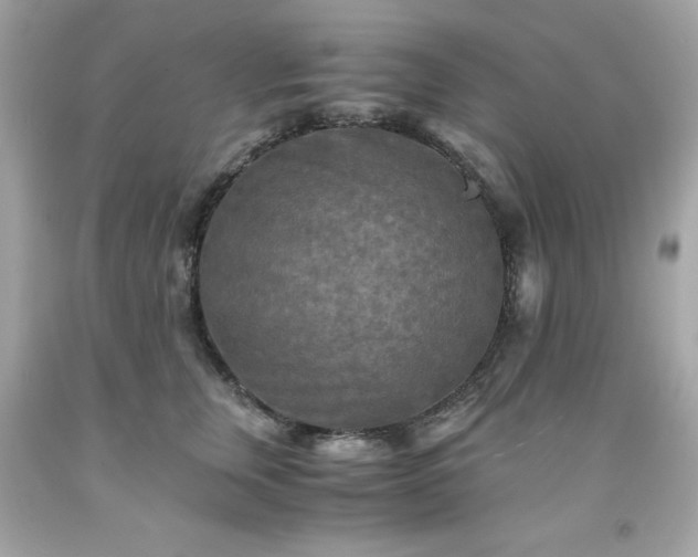 X0000091920759200709121538