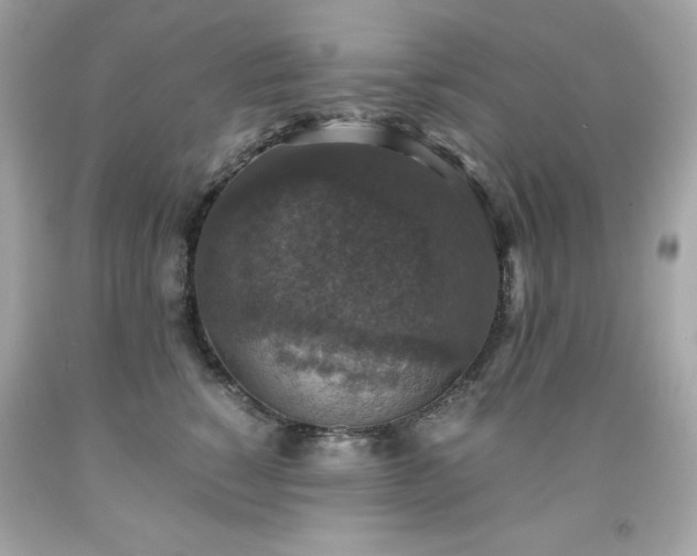 X0000091920760200709121538