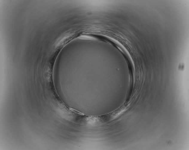 X0000091920762200709121538