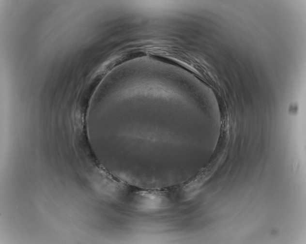 X0000091920763200709121538