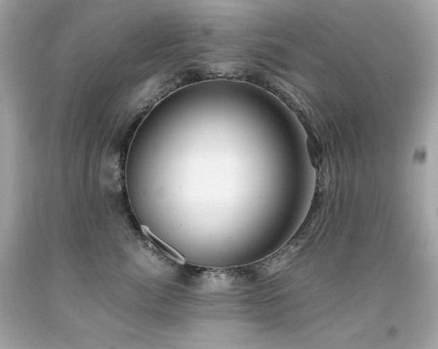 X0000091920764200709121538