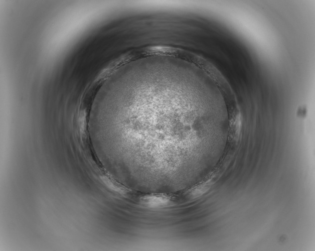 X0000091920765200709121538