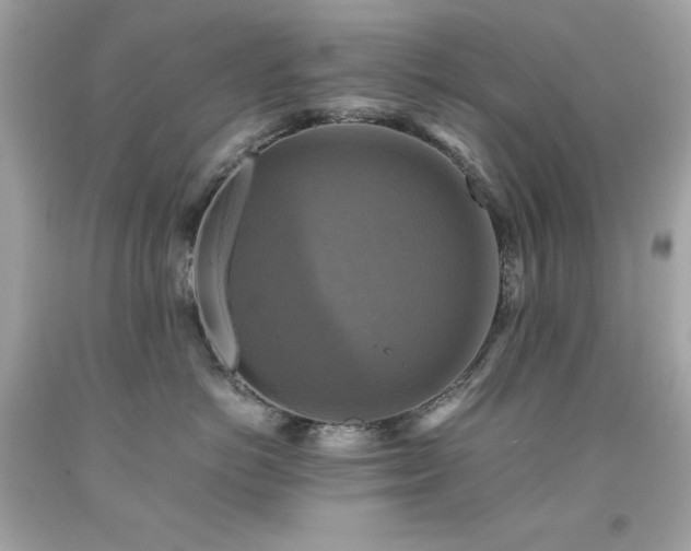 X0000091920766200709121538