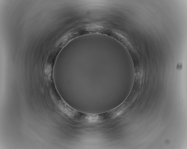 X0000091920767200709121538