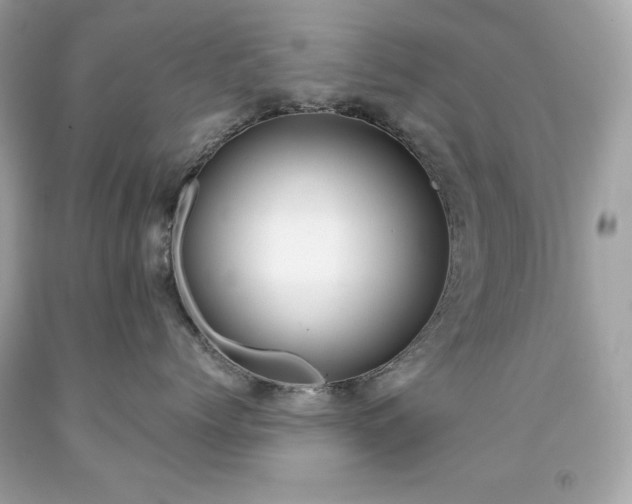 X0000091920768200709121538