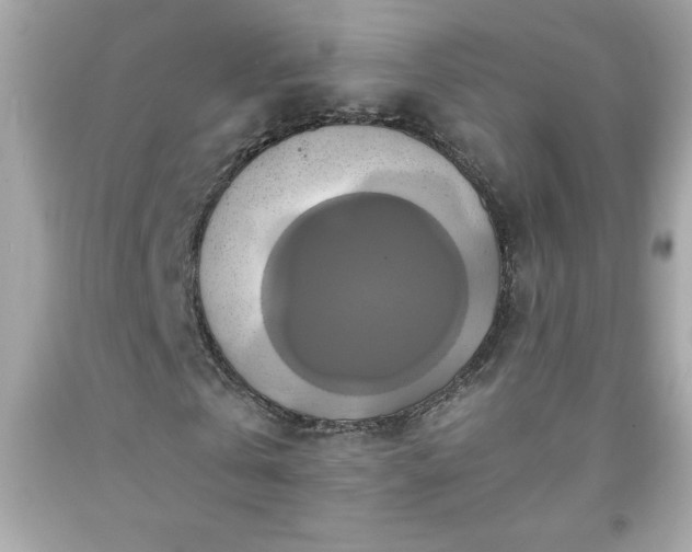 X0000091920769200709121538