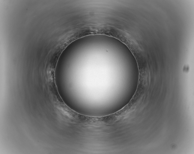 X0000091920770200709121538