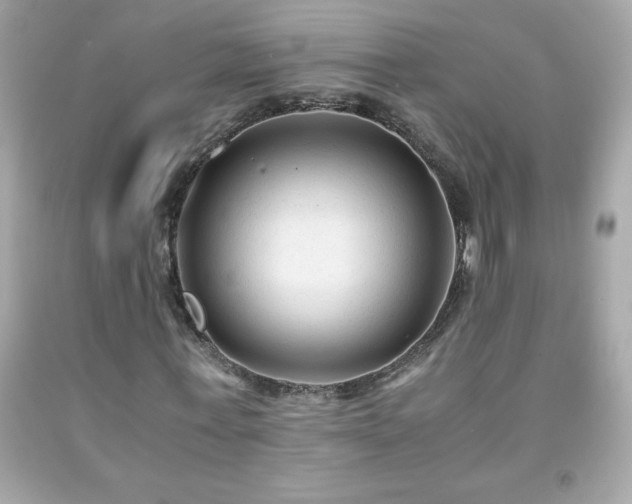 X0000091920771200709121538