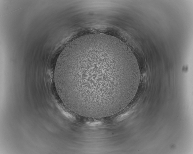 X0000091920772200709121538