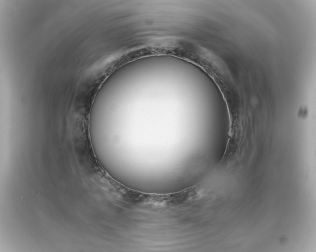 X0000091920773200709121538