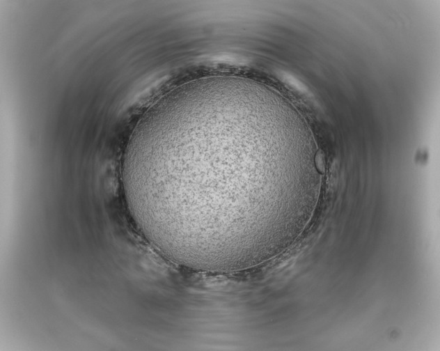 X0000091920774200709121538