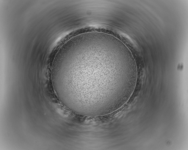 X0000091920776200709121538