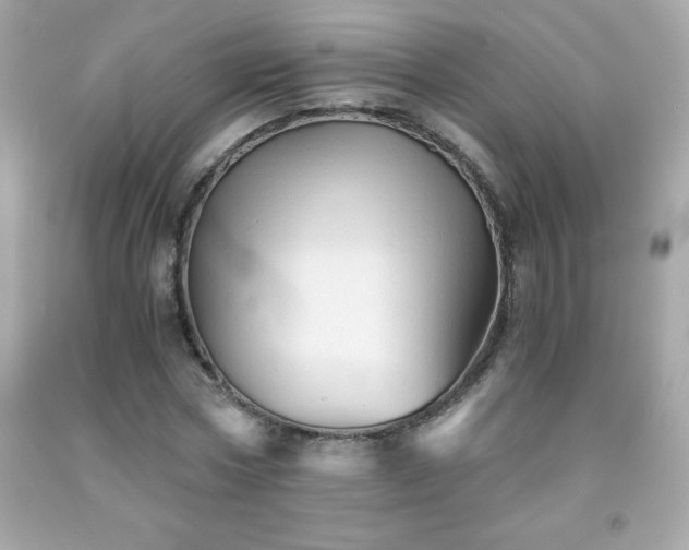 X0000091920778200709121538