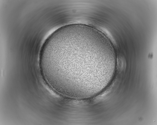 X0000091920780200709121538