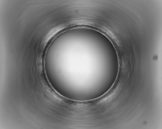 X0000091920782200709121538