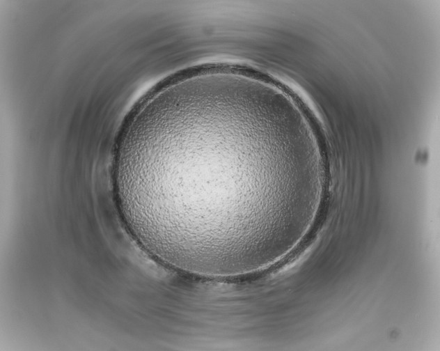 X0000091920783200709121538