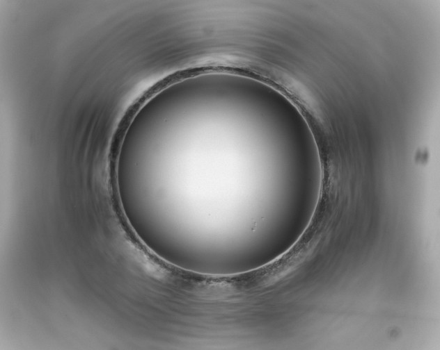 X0000091920784200709121538