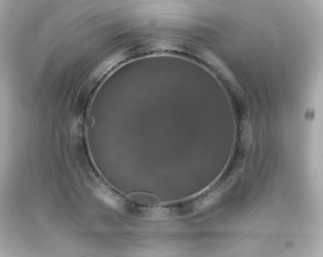 X0000091920785200709121538