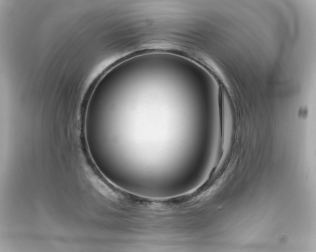 X0000091920787200709121537
