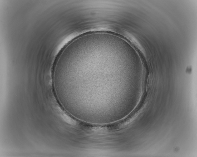 X0000091920789200709121537