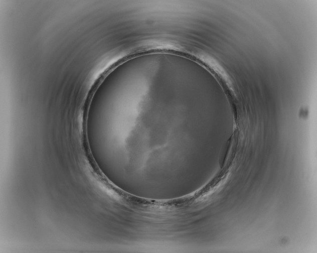 X0000091920790200709121537