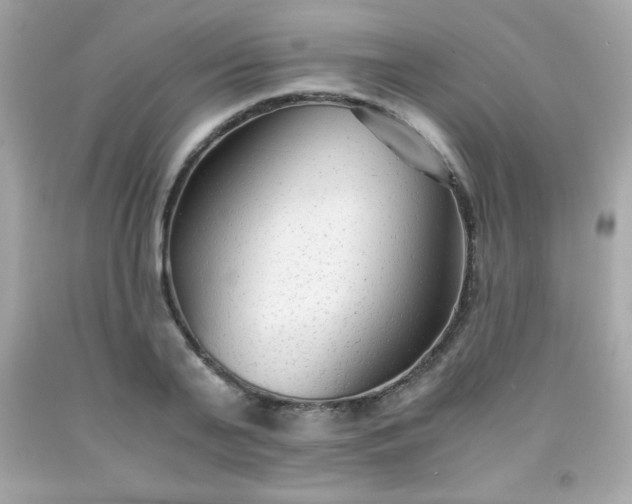 X0000091920791200709121537