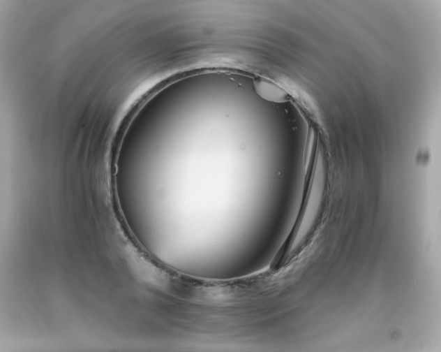 X0000091920792200709121537