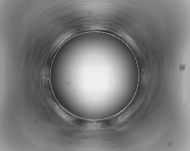 X0000091920793200709121537