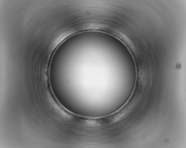 X0000091920794200709121537