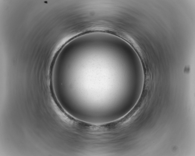 X0000091920795200709121537