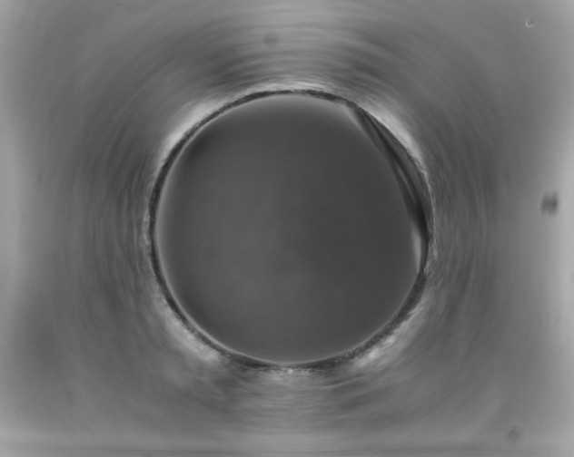 X0000091920797200709121537