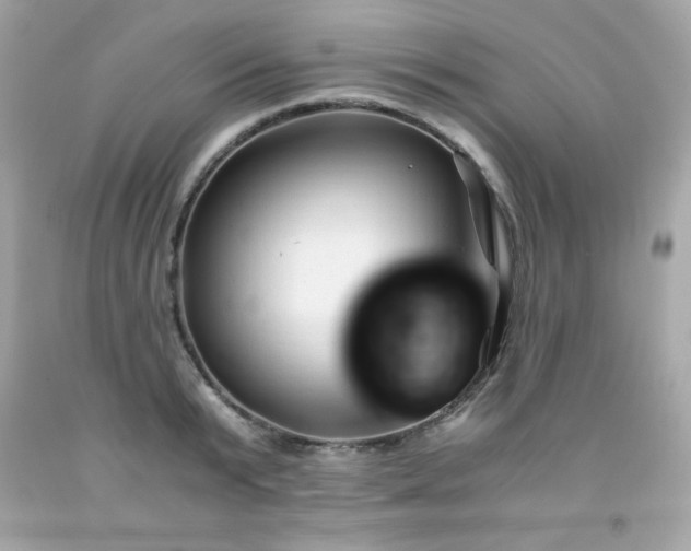 X0000091920799200709121537