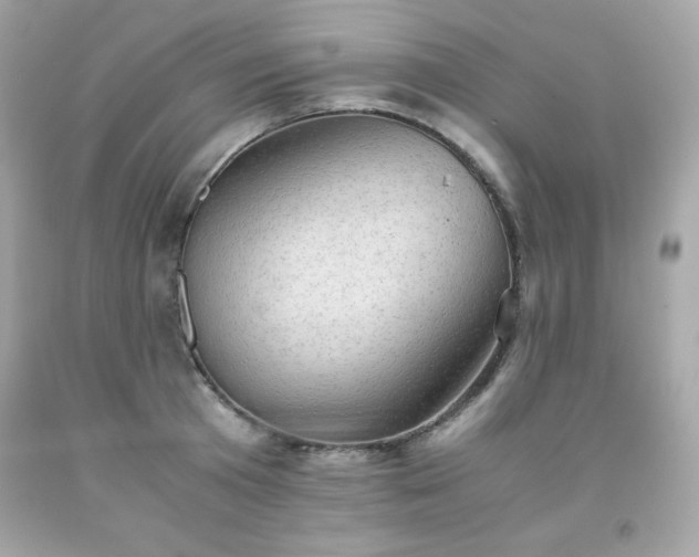 X0000091920801200709121537