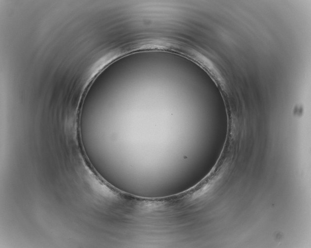 X0000091920802200709121537