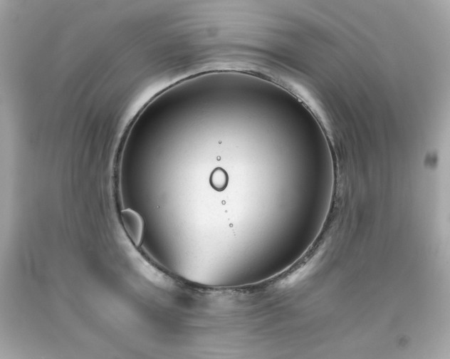 X0000091920803200709121537